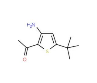 2-Acetyl-3-amino-5-t-butylthiophene (CAS 175137-06-1) - chemical structure image