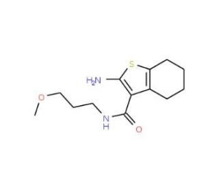 2-Amino-4,5,6,7-tetrahydro-benzo[b]thiophene-3-carboxylic acid (3-methoxy-propyl)-amide - chemical structure image