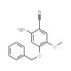 2-Amino-4-(benzyloxy)-5-methoxybenzonitrile (CAS 385785-02-4) - chemical structure image