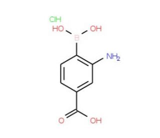 2-Amino-4-carboxylphenylboronic acid, HCl (CAS 850568-60-4) - chemical structure image