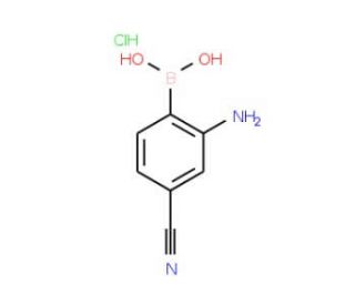 2-Amino-4-cyanophenylboronic acid, HCl (CAS 850568-47-7) - chemical structure image