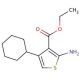 2-Amino-4-cyclohexyl-thiophene-3-carboxylic acid ethyl ester - chemical structure image