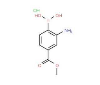 2-Amino-4-methoxycarbonylphenylboronic acid, HCl (CAS 380430-55-7) - chemical structure image