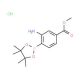 2-Amino-4-methoxycarbonylphenylboronic acid, pinacol ester, HCl (CAS 850567-49-6) - chemical structure image