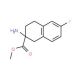 2-Amino-6-fluoro-1,2,3,4-tetrahydronaphthalene-2-carboxylic acid methyl ester 的分子结构, CAS编号: 885274-16-8 2-Amino-6-fluoro-1,2,3,4-tetrahydronaphthalene-2-carboxylic acid methyl ester (CAS 885274-16-8) - chemical structure image