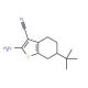 2-amino-6-tert-butyl-4,5,6,7-tetrahydro-1-benzothiophene-3-carbonitrile 的分子结构, CAS编号: 42159-76-2 2-amino-6-tert-butyl-4,5,6,7-tetrahydro-1-benzothiophene-3-carbonitrile (CAS 42159-76-2) - chemical structure image