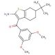 (2-Amino-6-tert-butyl-4,5,6,7-tetrahydro-benzo[b]thiophen-3-yl)-(3,5-dimethoxy-phenyl)-methanone - chemical structure image