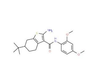 2-Amino-6-tert-butyl-N-(2,4-dimethoxyphenyl)-4,5,6,7-tetrahydrobenzo[b]thiophene-3-carboxamide - chemical structure image