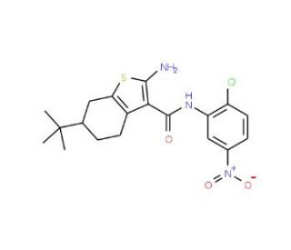 2-Amino-6-tert-butyl-N-(2-chloro-5-nitrophenyl)-4,5,6,7-tetrahydro-1-benzothiophene-3-carboxamide - chemical structure image