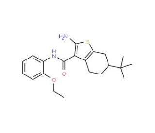 2-Amino-6-tert-butyl-N-(2-ethoxyphenyl)-4,5,6,7-tetrahydrobenzo[b]thiophene-3-carboxamide - chemical structure image