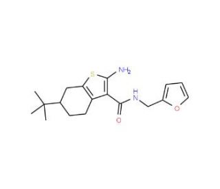 2-Amino-6-tert-butyl-N-(2-furylmethyl)-4,5,6,7-tetrahydro-1-benzothiophene-3-carboxamide - chemical structure image