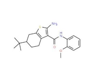 2-Amino-6-tert-butyl-N-(2-methoxyphenyl)-4,5,6,7-tetrahydrobenzo[b]thiophene-3-carboxamide - chemical structure image