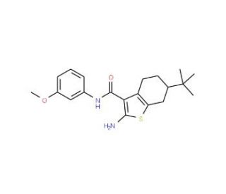 2-Amino-6-tert-butyl-N-(3-methoxyphenyl)-4,5,6,7-tetrahydrobenzo[b]thiophene-3-carboxamide - chemical structure image