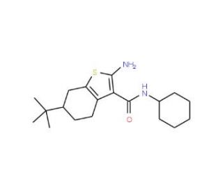 2-Amino-6-tert-butyl-N-cyclohexyl-4,5,6,7-tetrahydrobenzo[b]thiophene-3-carboxamide - chemical structure image