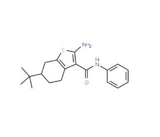 2-Amino-6-tert-butyl-N-phenyl-4,5,6,7-tetrahydro-1-benzothiophene-3-carboxamide - chemical structure image