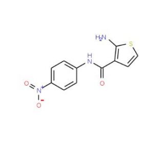 2-Amino-N-(4-nitrophenyl)thiophene-3-carboxamide - chemical structure image