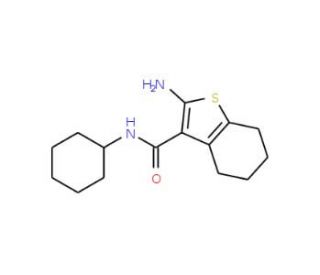 2-Amino-N-cyclohexyl-4,5,6,7-tetrahydro-1-benzothiophene-3-carboxamide - chemical structure image