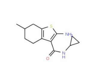 2-Amino-N-cyclopropyl-6-methyl-4,5,6,7-tetrahydro-1-benzothiophene-3-carboxamide - chemical structure image