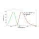Graph showing the excitation and emission spectra of 2-Aminoacridone: sc-213751.
