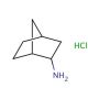 2-Aminonorbornane hydrochloride (CAS 14370-45-7) - chemical structure image