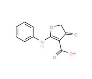 2-anilino-4-oxo-4,5-dihydrofuran-3-carboxylic acid (CAS 58337-23-8) - chemical structure image