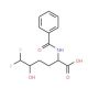 2-(benzoylamino)-6,6-difluoro-5-hydroxyhexanoic acid - chemical structure image