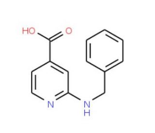 2-(benzylamino)pyridine-4-carboxylic acid - chemical structure image