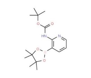 2-(Boc-amino)pyridine-3-boronic acid pinacol ester (CAS 1072944-99-0) - chemical structure image