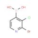 2-Bromo-3-chloropyridine-4-boronic acid (CAS 1003043-31-9) - chemical structure image