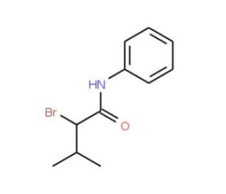 2-bromo-3-methyl-N-phenylbutanamide (CAS 111216-73-0) - chemical structure image