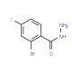 2-bromo-4-fluorobenzohydrazide - chemical structure image