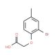 (2-bromo-4-methylphenoxy)acetic acid (CAS 25181-66-2) - chemical structure image