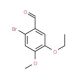 2-Bromo-5-ethoxy-4-methoxybenzaldehyde - chemical structure image