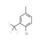 2-Bromo-5-methylbenzotrifluoride (CAS 261952-20-9) - chemical structure image