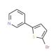2-Bromo-5-pyridin-3-ylthiophene (CAS 169050-05-9) - chemical structure image