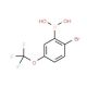 2-Bromo-5-trifluoromethoxyphenylboronic acid (CAS 957034-55-8) - chemical structure image