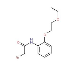 2-Bromo-N-[2-(2-ethoxyethoxy)phenyl]acetamide - chemical structure image