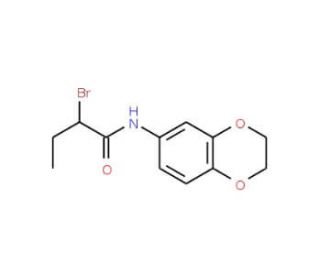 2-Bromo-N-2,3-dihydro-1,4-benzodioxin-6-ylbutanamide - chemical structure image
