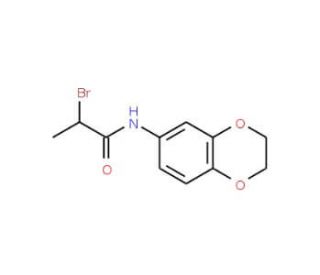 2-Bromo-N-2,3-dihydro-1,4-benzodioxin-6-ylpropanamide - chemical structure image