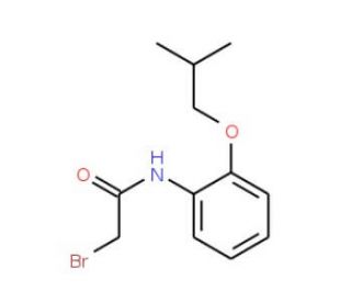2-Bromo-N-(2-isobutoxyphenyl)acetamide - chemical structure image