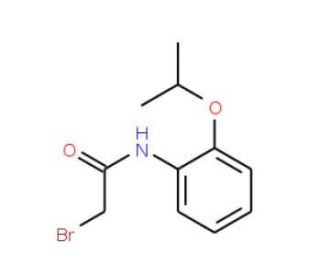 2-Bromo-N-(2-isopropoxyphenyl)acetamide - chemical structure image