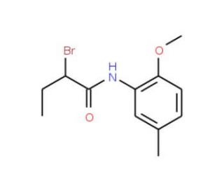 2-Bromo-N-(2-methoxy-5-methylphenyl)butanamide - chemical structure image