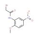 2-Bromo-N-(2-methoxy-5-nitrophenyl)acetamide - chemical structure image