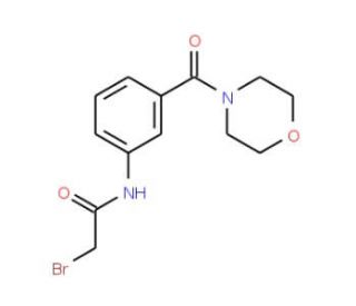 2-Bromo-N-[3-(4-morpholinylcarbonyl)phenyl]-acetamide - chemical structure image