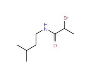 2-Bromo-N-(3-methylbutyl)propanamide - chemical structure image