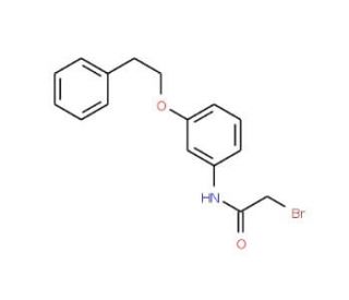 2-Bromo-N-[3-(phenethyloxy)phenyl]acetamide - chemical structure image