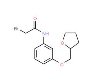 2-Bromo-N-[3-(tetrahydro-2-furanylmethoxy)phenyl]-acetamide - chemical structure image