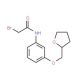 2-Bromo-N-[3-(tetrahydro-2-furanylmethoxy)phenyl]-acetamide - chemical structure image