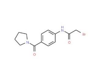 2-Bromo-N-[4-(1-pyrrolidinylcarbonyl)phenyl]-acetamide - chemical structure image