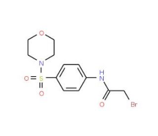 2-Bromo-N-[4-(4-morpholinylsulfonyl)phenyl]-acetamide - chemical structure image